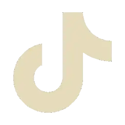 TikTok Logo